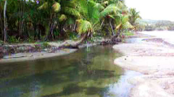 Playa Tropical Beach en Naguabo. (Captura/Youtube)