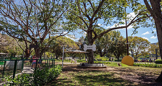 Parque Luis Muñoz Marín. (Foto/Suministrada) 