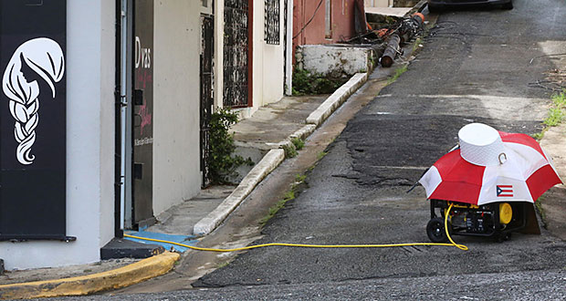 Las plantas vienen de todos tamaños y colores, de gasolina y de diésel. Pero no son tan inofensivas como parecen. (Foto por Brandon Cruz/Centro de Periodismo Investigativo)