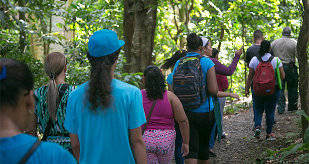 Bosque del Yunque. (Foto/Suministrada)