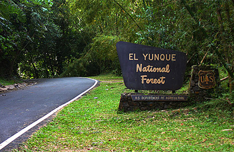 El Yunque.(Foto/Suministrada)