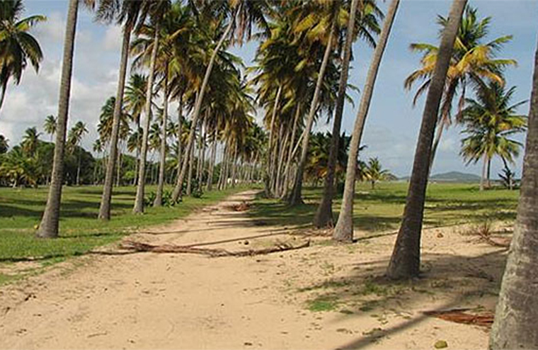 Playa Punta Santiago de Humacao. (Foto/Suministrada)