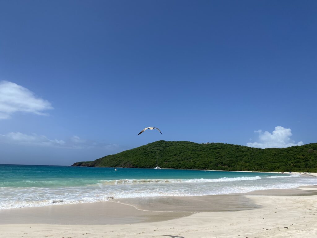 Culebra realiza preparativos para recibir a miles de turistas en Semana Santa