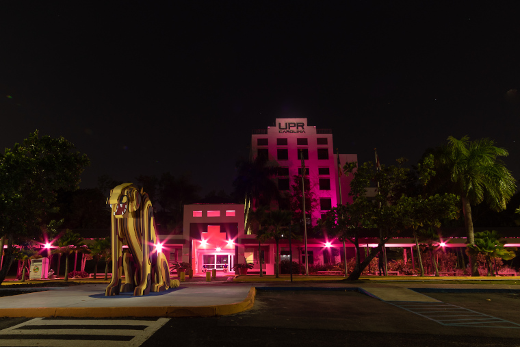 UPR Carolina se ilumina de rosa. (Foto/Suministrada)