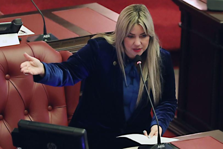 Senadora por acumulación, Keren Riquelme. (Foto/Suministrada)