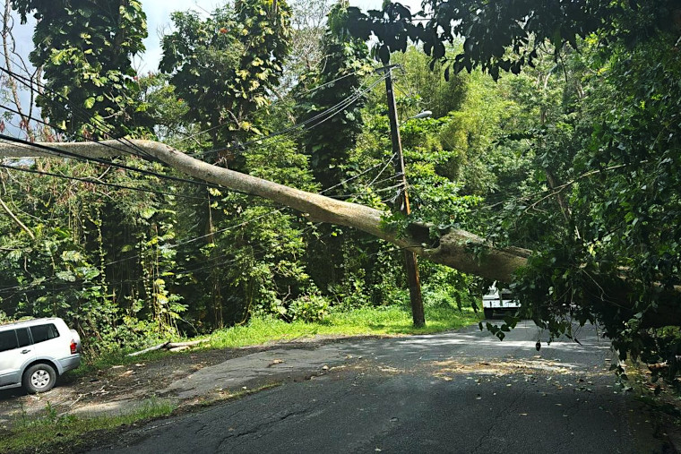 (Foto/Municipio de Trujillo Alto)